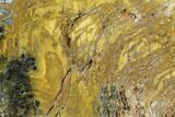 Strelley Pool Stromatolite Section - Billion Years Old #129165-1